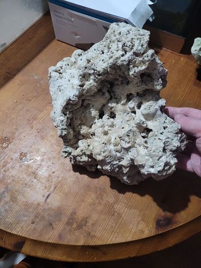 marine rocks