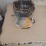 vintage 1960s french butter dish Image 4