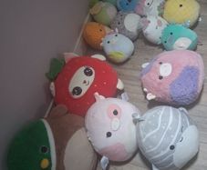 squishmallows