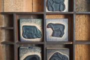 French Farm Animals Printer Blocks (Ink pad included)