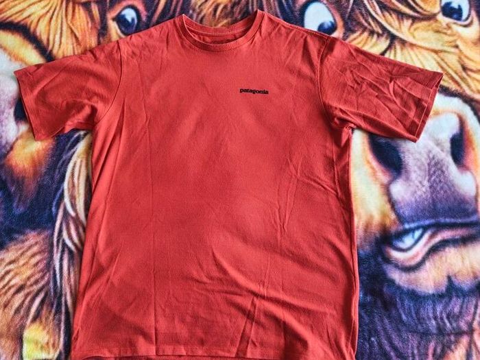 Patagonia t-shirt