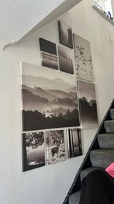 Set of 9 Black & White Nature Canvas Prints