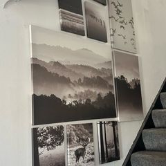 Set of 9 Black & White Nature Canvas Prints