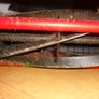 Hand Mower Image 4
