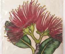 Unframed Limited Edition Print 'Pohutukawa Flower' 290/295 - Special Gift