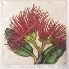 Unframed Limited Edition Print 'Pohutukawa Flower' 290/295 - Special Gift