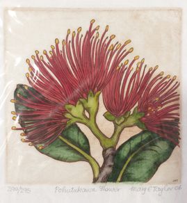 Unframed Limited Edition Print 'Pohutukawa Flower' 290/295 - Special Gift