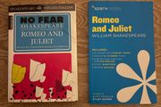 Romeo &amp; Juliette Study Notes - FREE