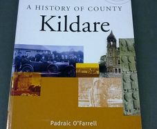 A History of County Kildare by Padraic O' Farrell Ireland Irish local history