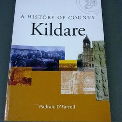A History of County Kildare by Padraic O' Farrell Ireland Irish local history