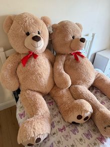 Teddy