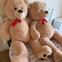 Teddy