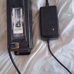 Giant Ease E Energy Pak 300 & Charger