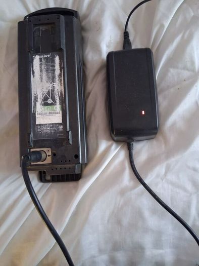 Giant Ease E Energy Pak 300 & Charger