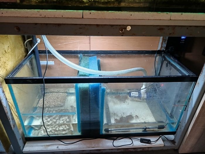 fish tank 750 l