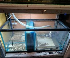 fish tank 750 l