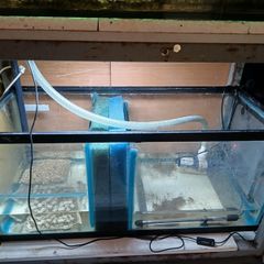 fish tank 750 l