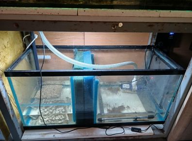 fish tank 750 l
