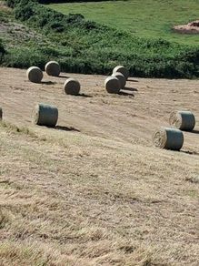 Round hay bale