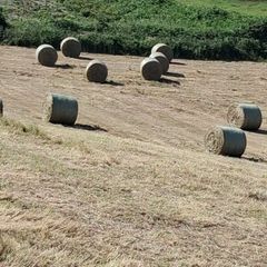 Round hay bale