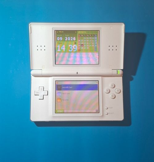 DS Lite with R4 Cartridge