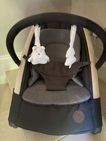 Baby bouncer
