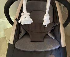Baby bouncer