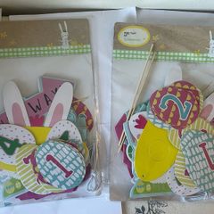 Easter Bunny Egg Hunt kit - Art and crafts package