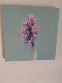 canvas picture