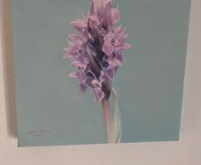canvas picture