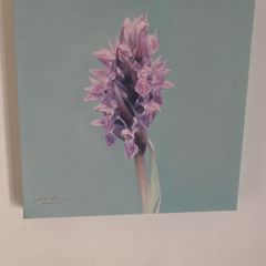 canvas picture