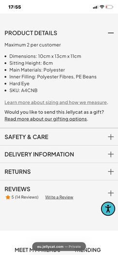 New Jellycat Amuseables Cinnamon Bun