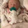 Reborn Baby Chase Image 5