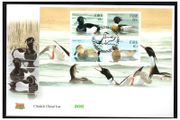 2004 Ireland Fauna &amp; Flora (Native Ducks) Commemorative Stamp Miniature Sheet An Post First Day Cover (FDC)