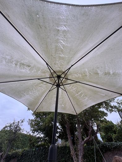 Parasol (no base)