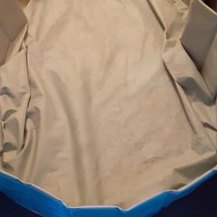 Dog Swimming Pool