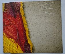 Yeah Yeah Yeahs - Turn Into - CD Single