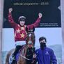 2022, 4 cheltenham gold cup programmes Image 4