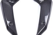 Carbon Radiator Cover for BMW R 1300 GS 2023-