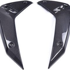 Carbon Radiator Cover for BMW R 1300 GS 2023-