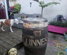 whiskey barrel