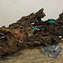 Dragon Wood Image 4