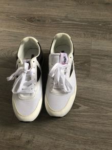 trainers polo
