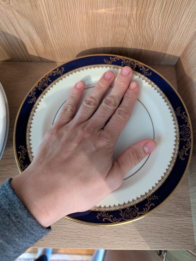 Royal Grafton Viceroy fine bone china dinner set