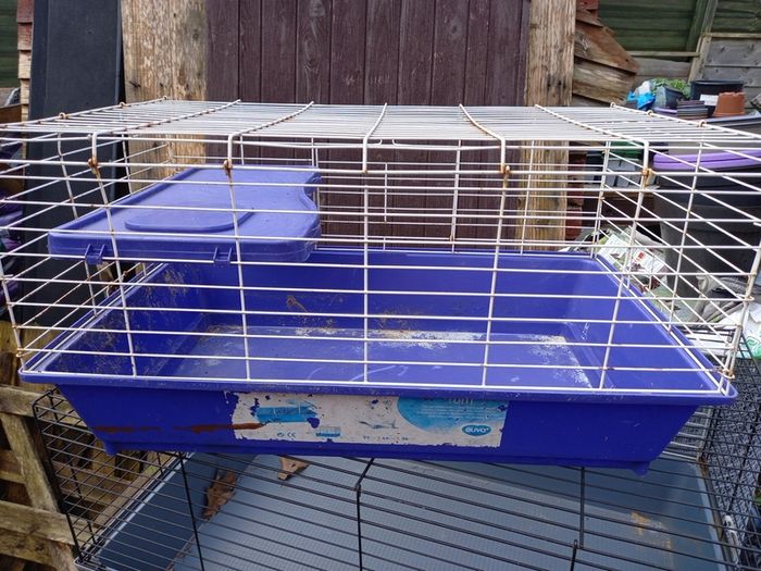 rabbit guinea-pig cage medium
