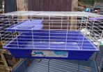 rabbit guinea-pig cage medium