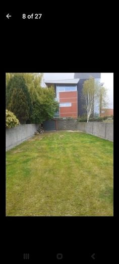 T&m gutter and  garden service