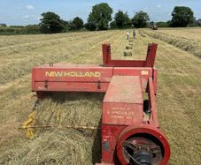 Small square bales of hay