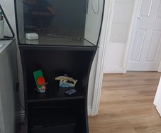 Fluval flex aquarium kit