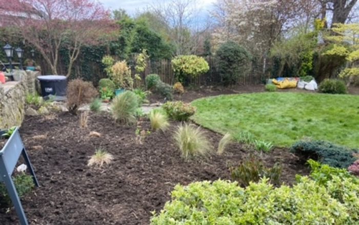 Professional Garden Maintenance - Dublin & North Wicklow
